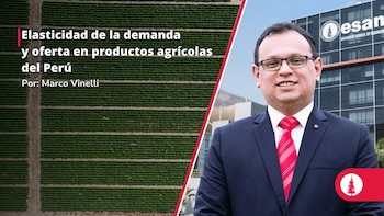 Marco Vinelli, campos de cultivo, edificio de ESAN y texto que indica 'Elasticidad de la demanda y oferta en productos agrícolas del Perú por Marco Vinelli'