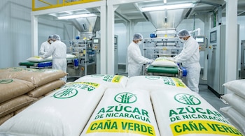 Trabajadores con equipo protector empaquetan azúcar en una fábrica moderna. En primer plano, sacos de azúcar blanca y morena con logo verde 'Azúcar de Nicaragua Caña Verde'.
