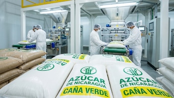 La producción azucarera de Nicaragua crece levemente pero no alcanza la meta para 2025-2026