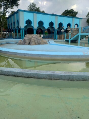 El área de árboles que