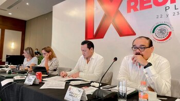 Senadores del PRI respaldaron “total,