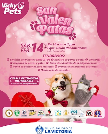 La campaña comenzará desde las