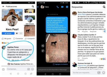 En estas capturas se puede