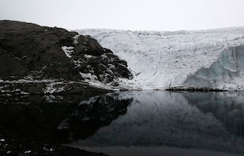 Las montañas, la selva y