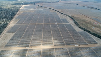 Una lluvia de amparos han