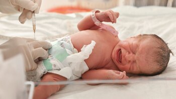 “Debido a que la marihuana