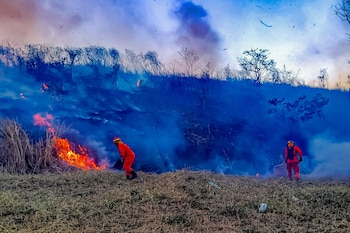 El Cuerpo de Bomberos atendió