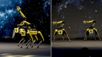 Robots cuadrúpedos sorprenden al realizar