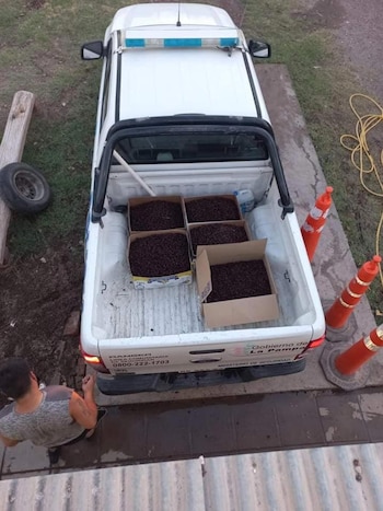 Los vecinos viven un trastorno