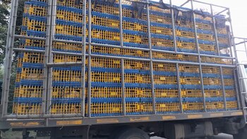 El incidente ocurrió en la