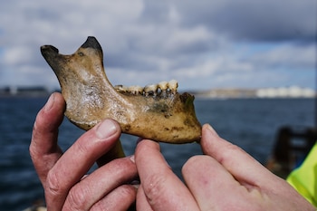 Primer plano de dos manos sosteniendo una mandíbula humana de color marrón claro con varios dientes visibles, sobre un fondo borroso de agua azul oscuro y un cielo nublado