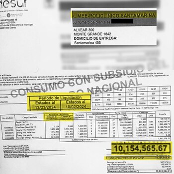 La boleta de luz que