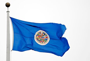 08-04-2019 Bandera de la OEA
POLITICA