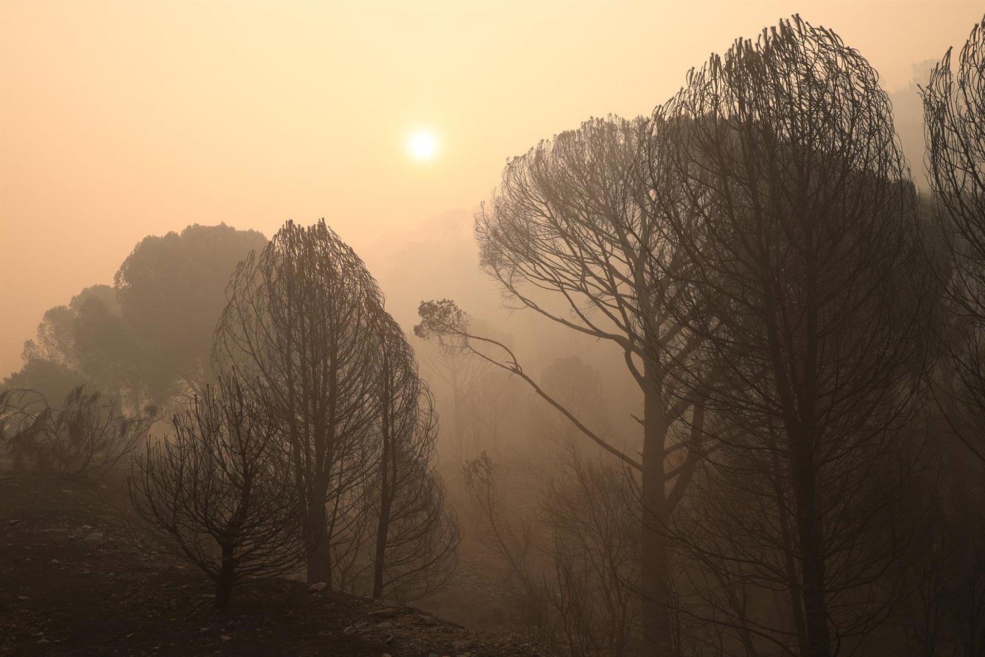 Rueda comparte que las "causas climáticas" influyen en los fuegos, pero pide no solo "teorizar" sino "actuar"