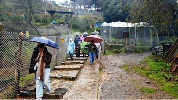 Un grupo de personas visita