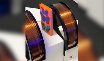 Las alas de mariposa monarca