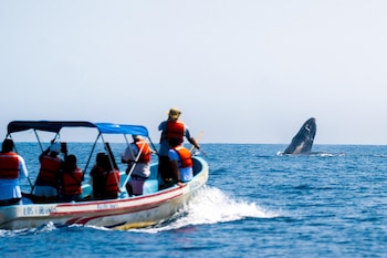 El Programa Nacional de Conservación