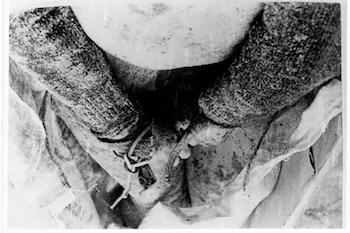 Un cuerpo atado, de los