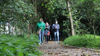 Para la Secretaría de Ambiente