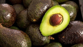 Productores de aguacate en Jalisco piden blindaje tras las medidas de EEUU en Michoacán