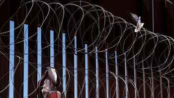 Sus padres fueron deportados, ahora