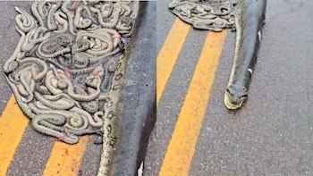 Testigos documentaron el fenómeno que