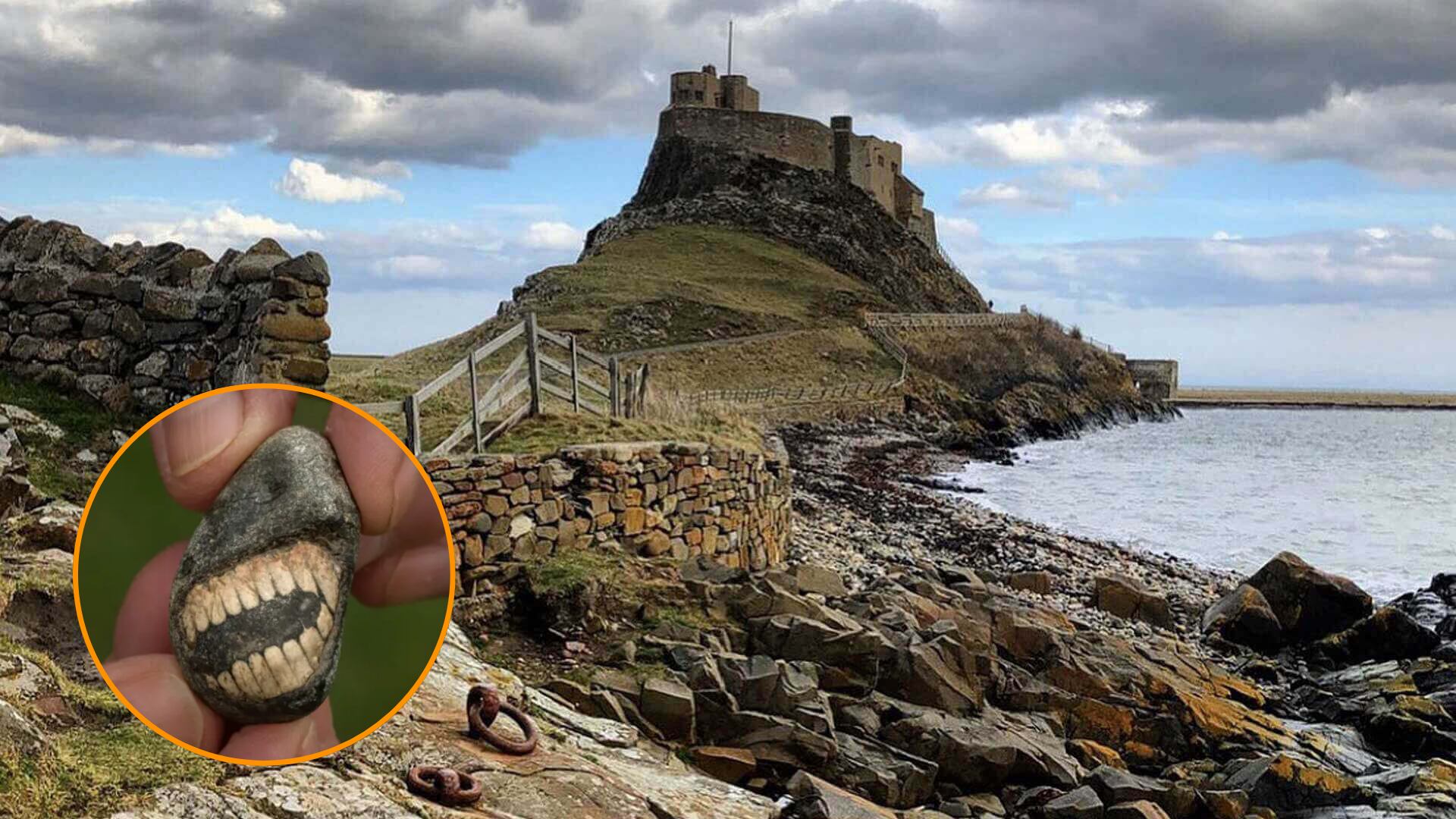 El fósil fue localizado en la isla de Lindisfarne, al norte de Inglaterra. (Montaje Infobae)