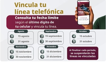Infografía con fechas límite para vincular líneas telefónicas por último dígito de celular, de agosto a diciembre. Una mano sostiene un teléfono móvil