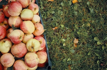 Las políticas públicas y la