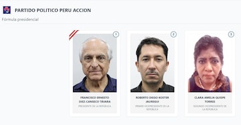 Lista de vicepresidentes en Perú 2026: estos son los acompañantes de cada candidato: Captura: ONPE.