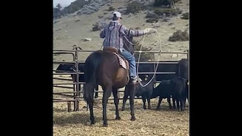 El lazo de rodeo fue clave en el rescate porque Jory Thomas había empezado a practicar esa técnica este año en tareas vinculadas al ganado (Facebook)