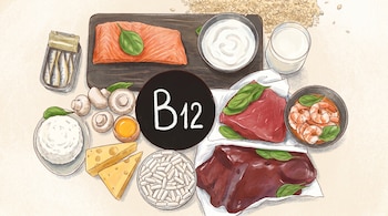 Ilustración que muestra desde arriba una selección de alimentos ricos en Vitamina B12: salmón, sardinas, carne, hígado, camarones, lácteos, huevos, setas y suplementos.