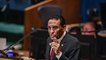 Sudán defiende ante el Consejo