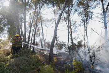 Ya afecta una superficie aproximada 7 hectáreas, mayoritariamente forestales, según datos de los Agentes Rurales.
