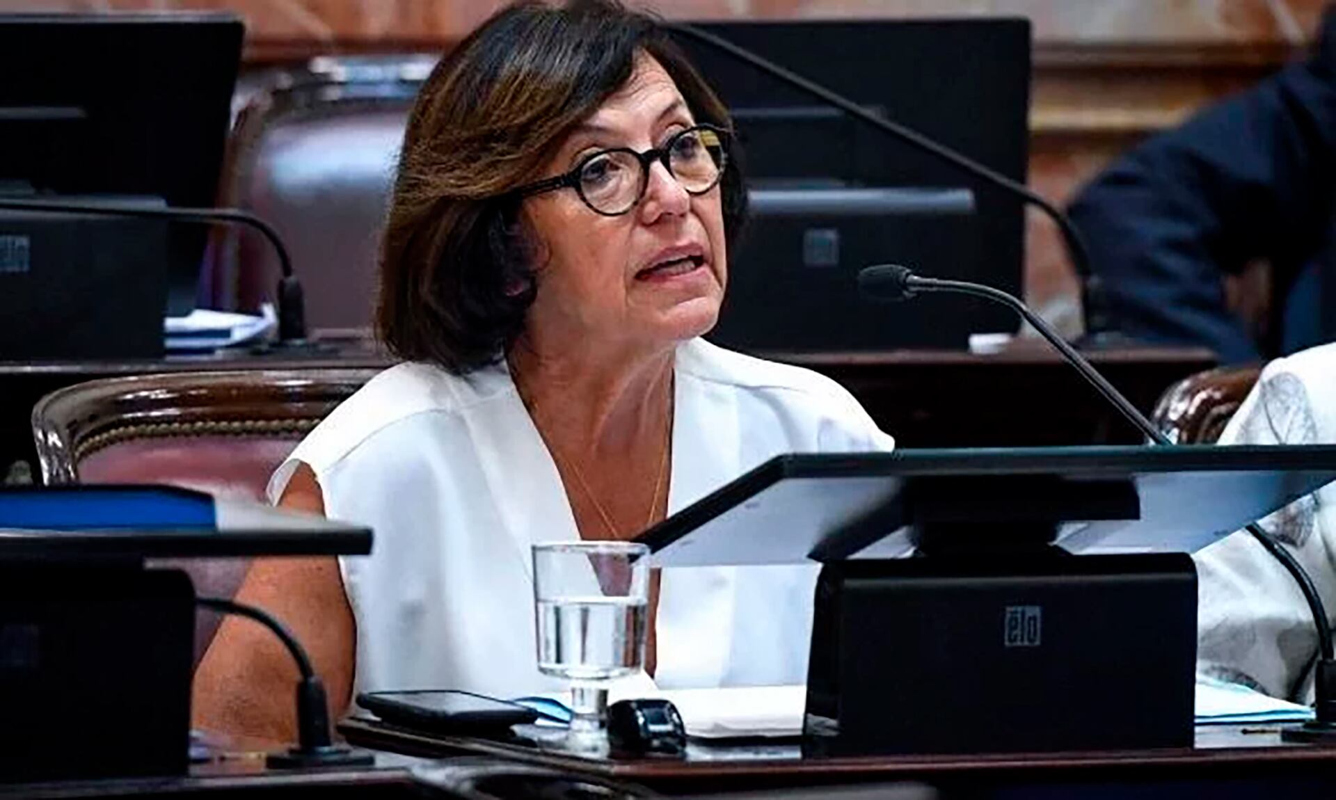 Silvia Sapag, senadora de UP (Twitter)