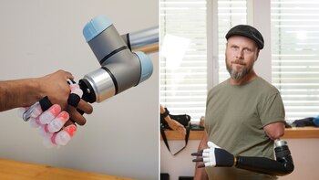 Investigadores señalaron que casi la