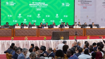 Costa Rica impulsa la modernización de la Organización Mundial del Comercio en Camerún