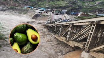 La Libertad: 100 toneladas de