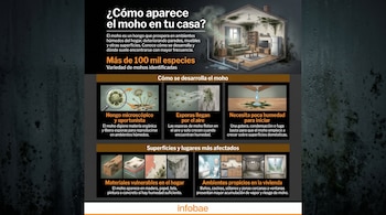 Infografía sobre el moho. Muestra una casa con moho, ilustraciones de hongos, esporas, una gota de agua, materiales con moho y ambientes de una casa.
