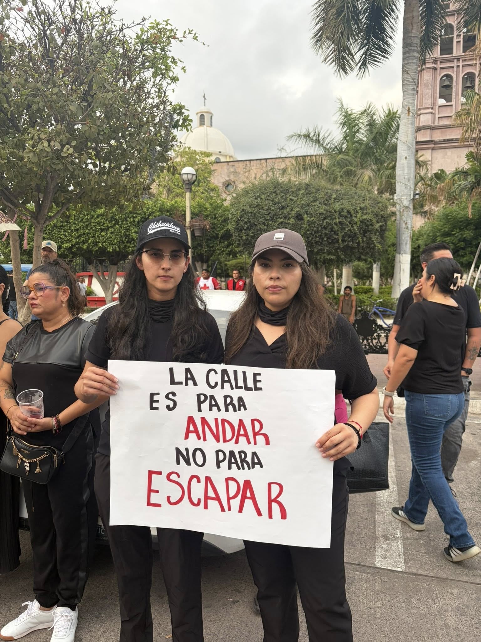 Foto: Facebook / Orquídeas Moradas