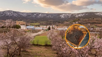 La mejor miel del mundo es ‘made in Cuenca’: fabricada en este pueblo con restos de una antigua muralla y una iglesia del siglo XVI