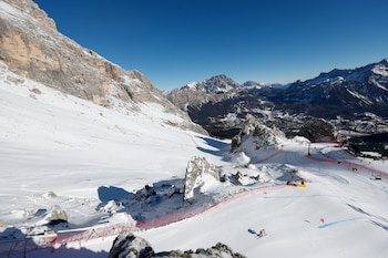 Disfruta de la máxima competencia