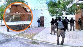 Despliegan operativos en siete estados de la república: detienen a 6 y confiscan desde huachicol hasta fauna