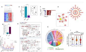 Células cultivadas en órbita presentan