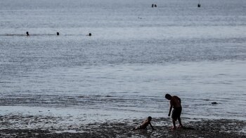 Unicef alerta que 1 de