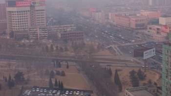 IAAF and Tokyo 2020 Focus