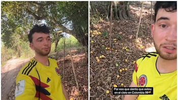 Creador de contenido francés quedó impactado tras encontrar cosecha de mangos ‘desperdiciados’ en suelo colombiano: “Es un botín”