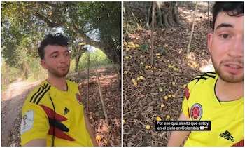 El influencer francés Engue expresa asombro por la abundancia de mangos en las calles de Isla Fuerte, Colombia - crédito @enguequemas/TikTok