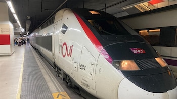Un muerto y trece heridos por el choque de un tren con un camión militar en un paso a nivel en Francia