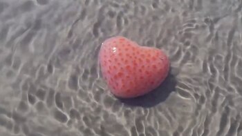 Cerdo marino con forma de